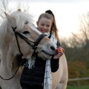 Anden særlig race Tinkerbell