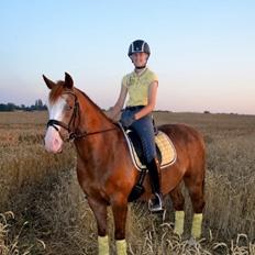 DSP Egegårdens Dacapo