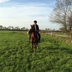 Anden særlig race Mister Jack.