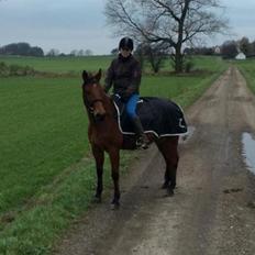 Traver Rosado (Rosa)