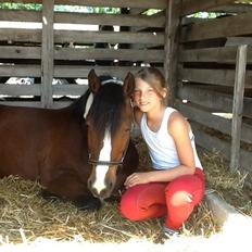 Anden særlig race Rico