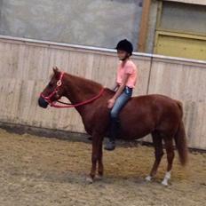 Anden særlig race Melody