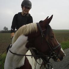 Pinto Laguna's Pinto Princess