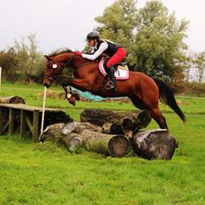 Dansk Varmblod Raypawers believe