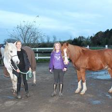 Anden særlig race Fireball VSR tidligere part