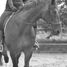 Oldenborg First-Mann af Hvarre