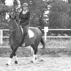 Oldenborg First-Mann af Hvarre