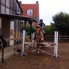 Anden særlig race Nice Suprice (Connie) 