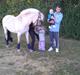 Fjordhest Macur (R.I.P 02-07-2014)