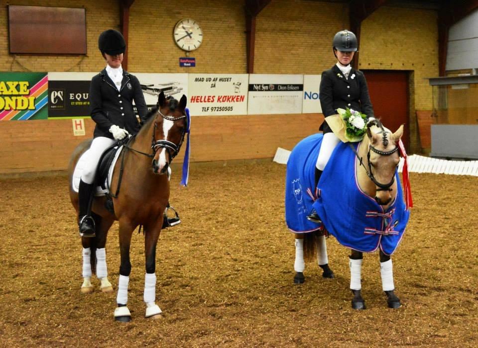 Welsh Partbred (Sec F) Katrinebjergs Ronja   A-pony - DSP championatsfinale 2014 billede 17