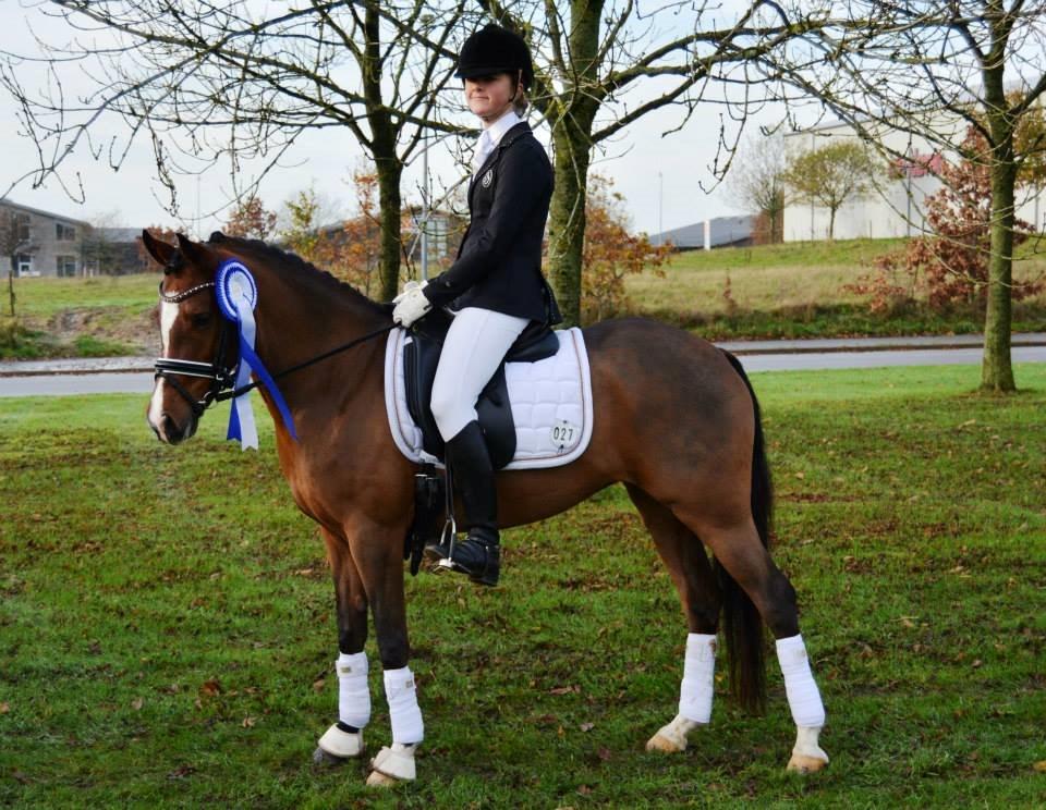 Welsh Partbred (Sec F) Katrinebjergs Ronja   A-pony - DSP dressur championat kat. 2 5års ponyer - nr. 2 i finalen billede 16