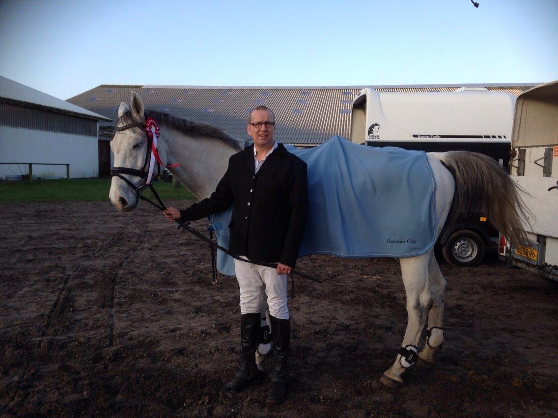 Dansk Varmblod catano billede 14