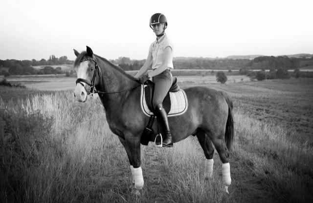 DSP Egegårdens Dacapo billede 15