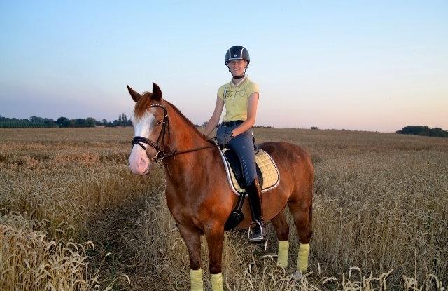 DSP Egegårdens Dacapo billede 3