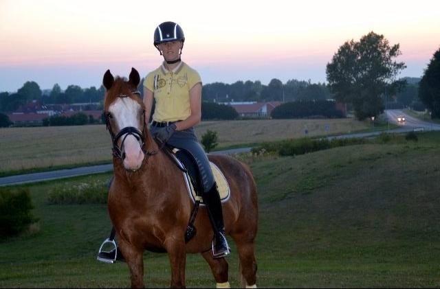 DSP Egegårdens Dacapo billede 4