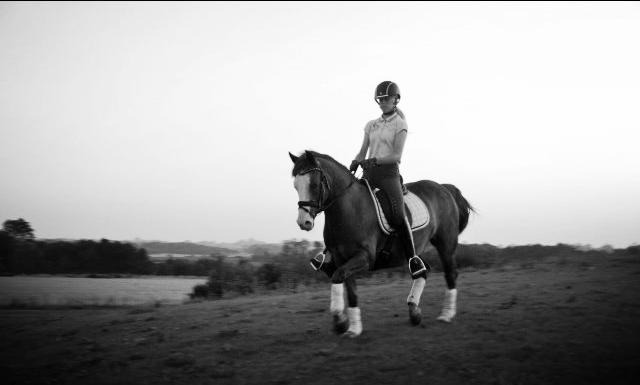 DSP Egegårdens Dacapo billede 5