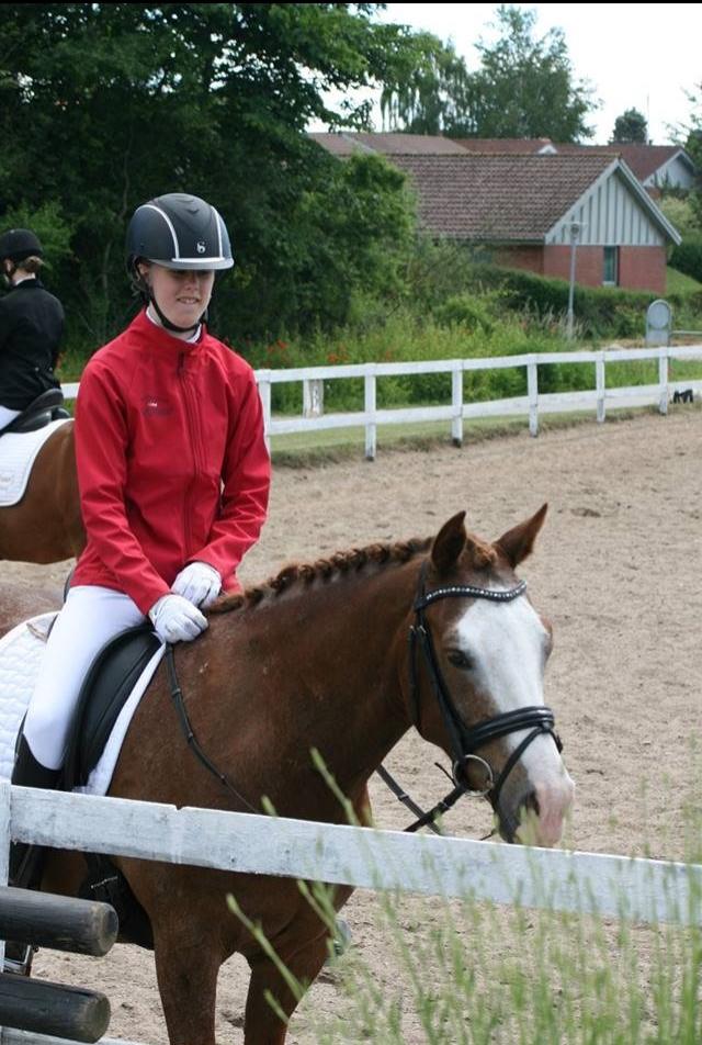 DSP Egegårdens Dacapo billede 8