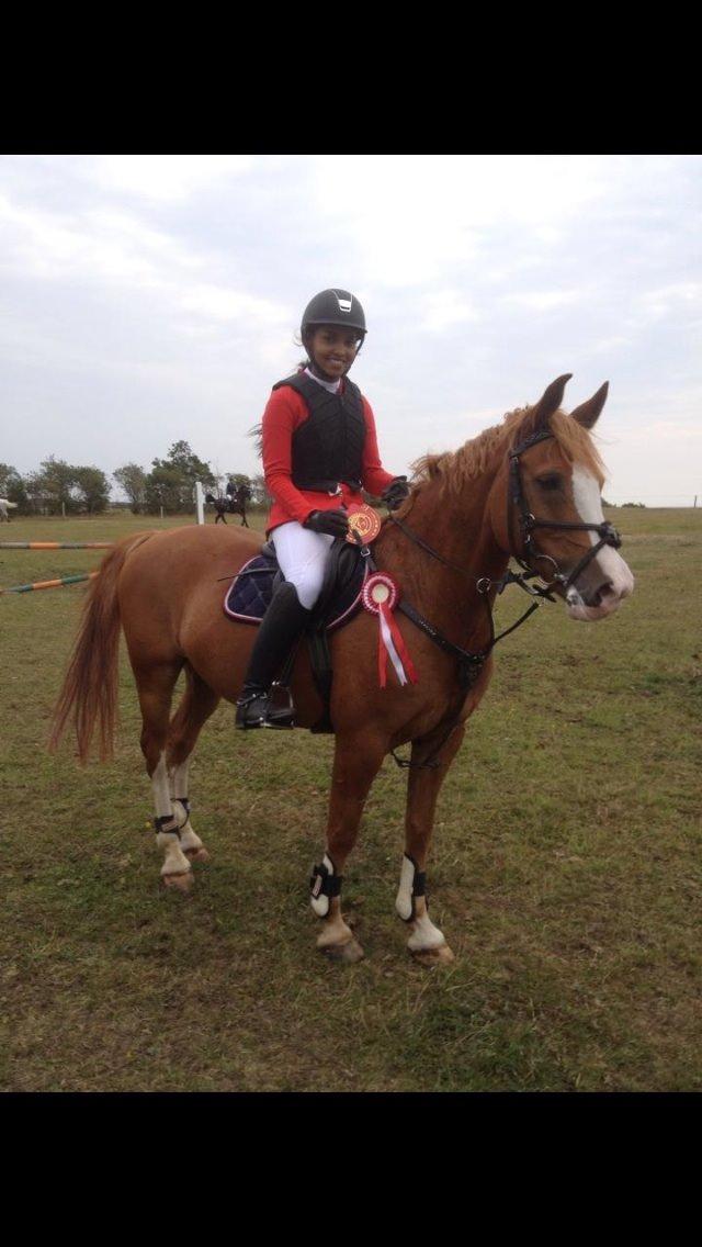 Anglo Araber (AA) Khalit billede 20