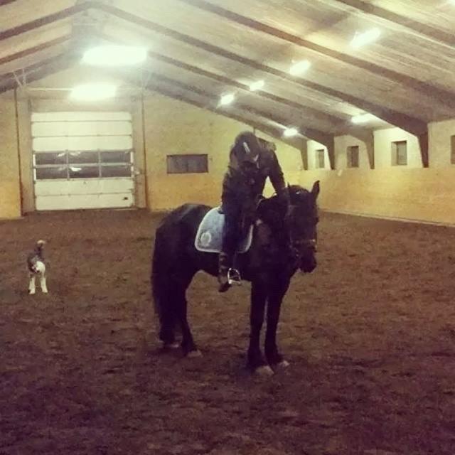 Frieser Van Helsing billede 11