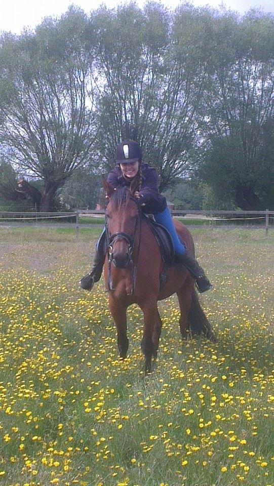 Traver Rosado (Rosa) - 25-08-2014 billede 25