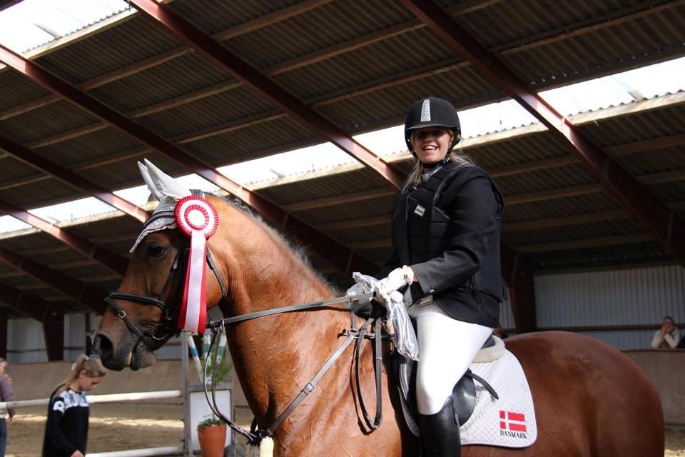 Hollandsk Varmblod Vita Z.D.W HIMMELHEST  billede 10