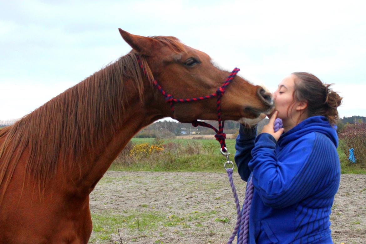 Anden særlig race Magnifique Etóo   - Og lære lige komandoen mys ! <3 billede 5