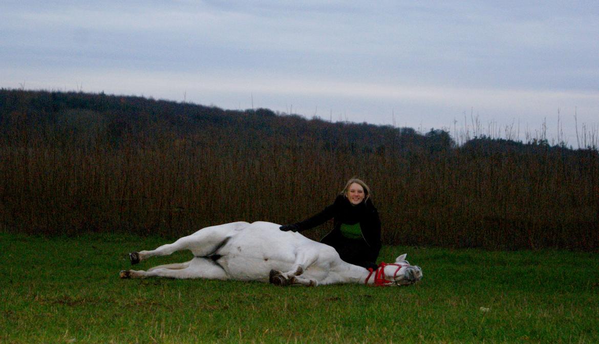 DSP Præstemarkens Mahogni |Honey| - Dygtig pony billede 23