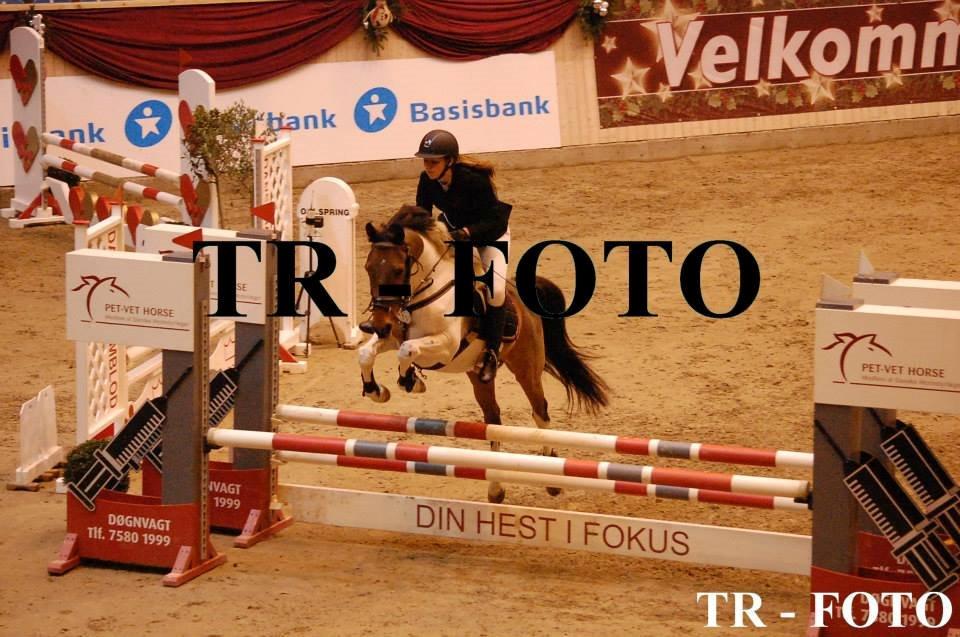 Pinto The indian boy - Bronzetur Christmas show WU 2014. foto: TR-Foto billede 6