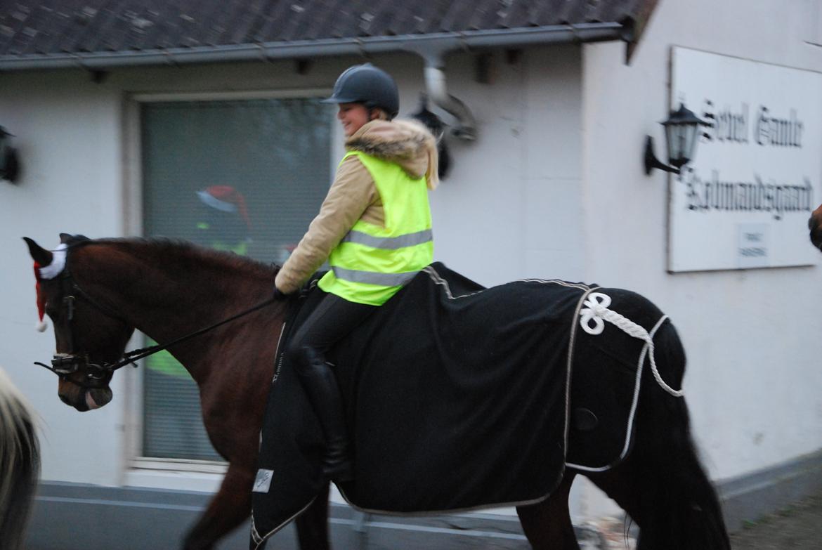 Anden særlig race Flamme *Tidl. part* (Rideskole hest) - Juleoptog billede 5