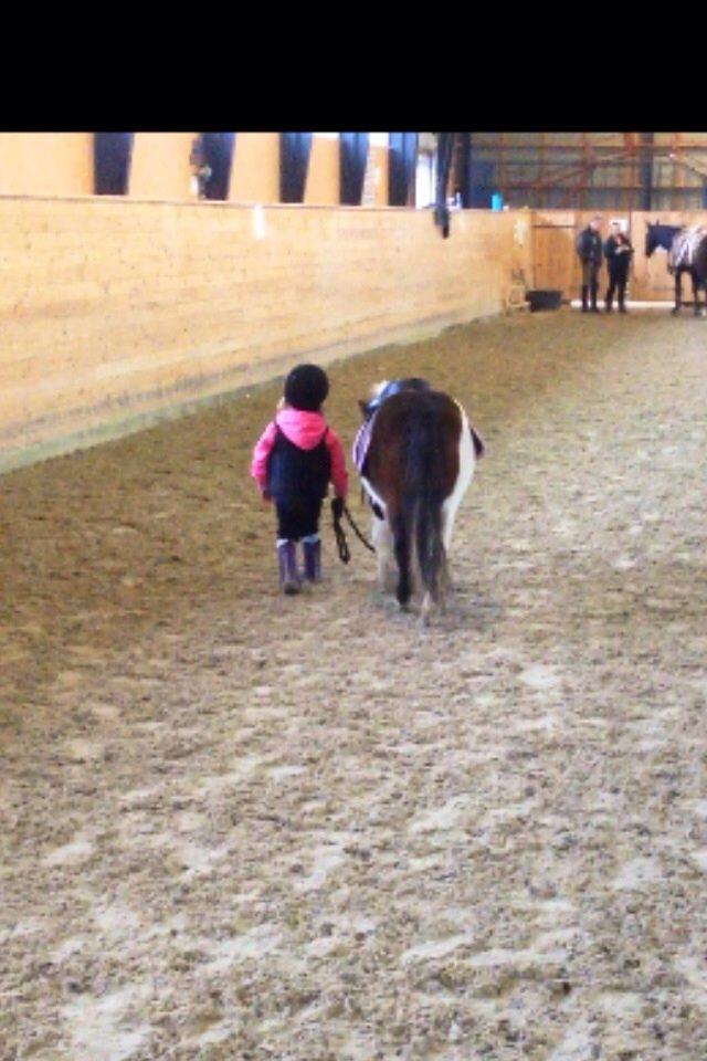 Anden særlig race Manse billede 21