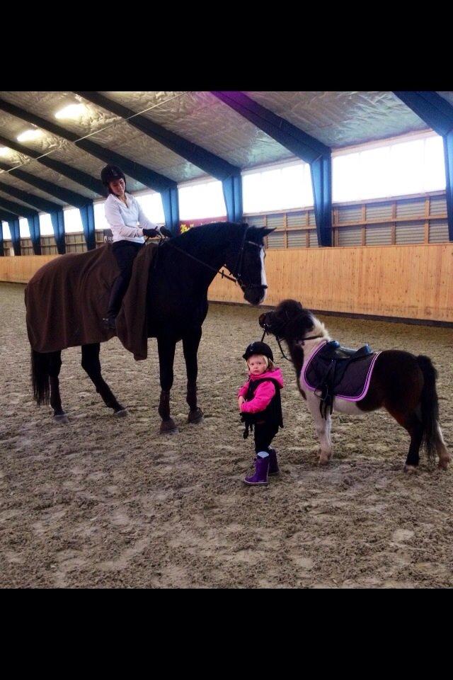 Anden særlig race Manse billede 22