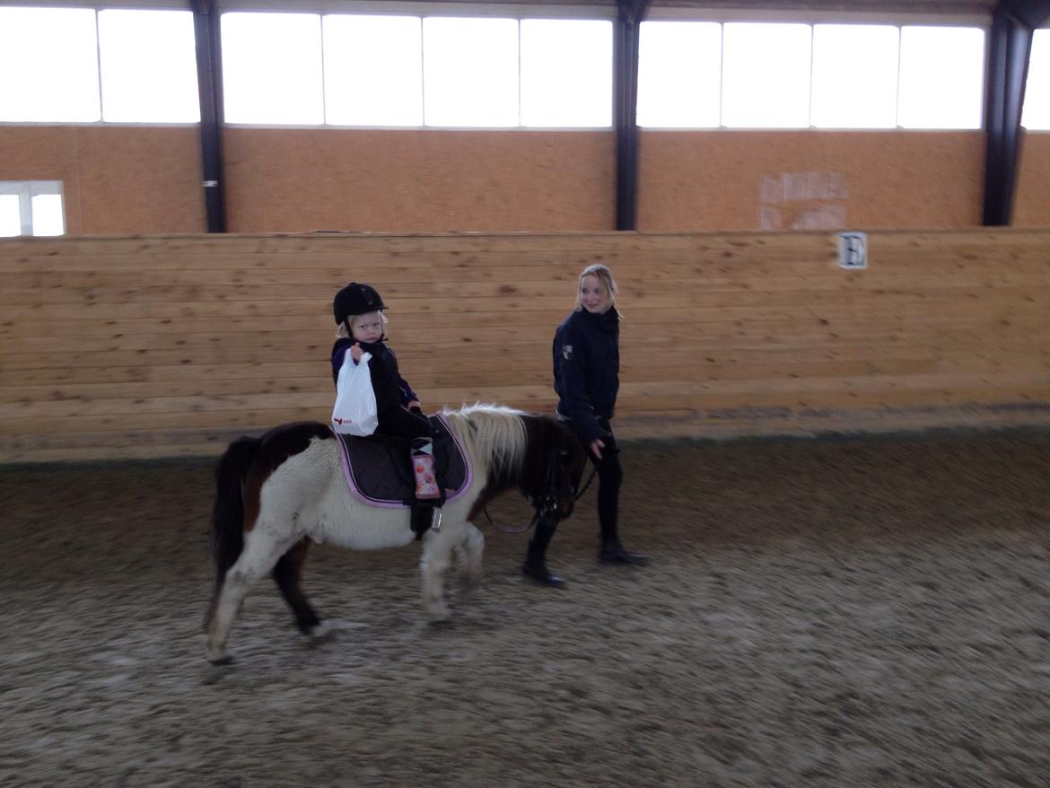 Anden særlig race Manse billede 23