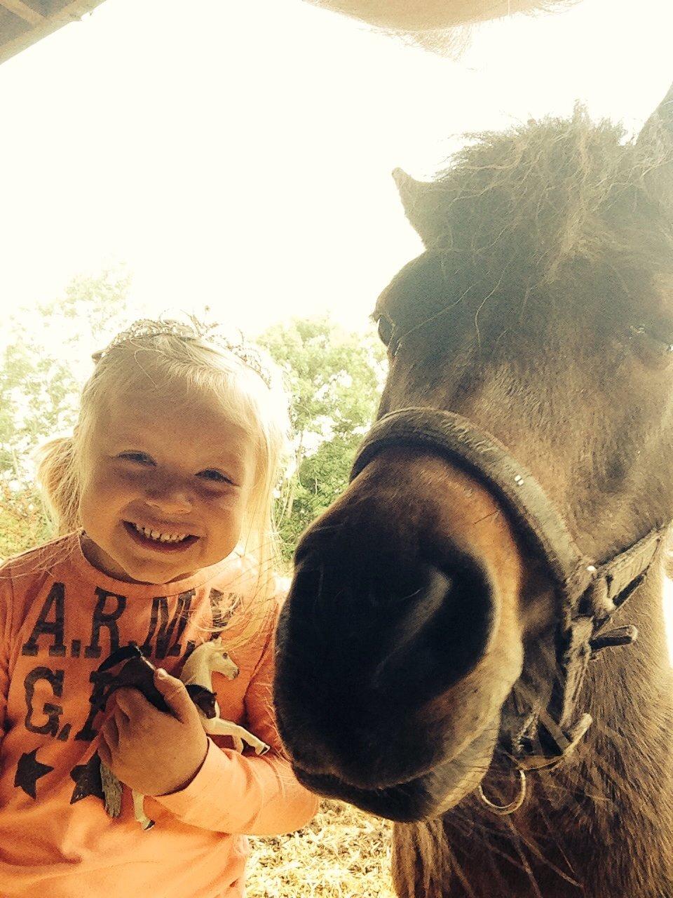 Anden særlig race Manse billede 27