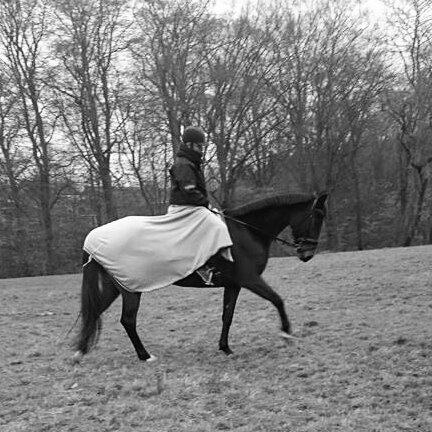 Traver Ofelia tandal billede 14