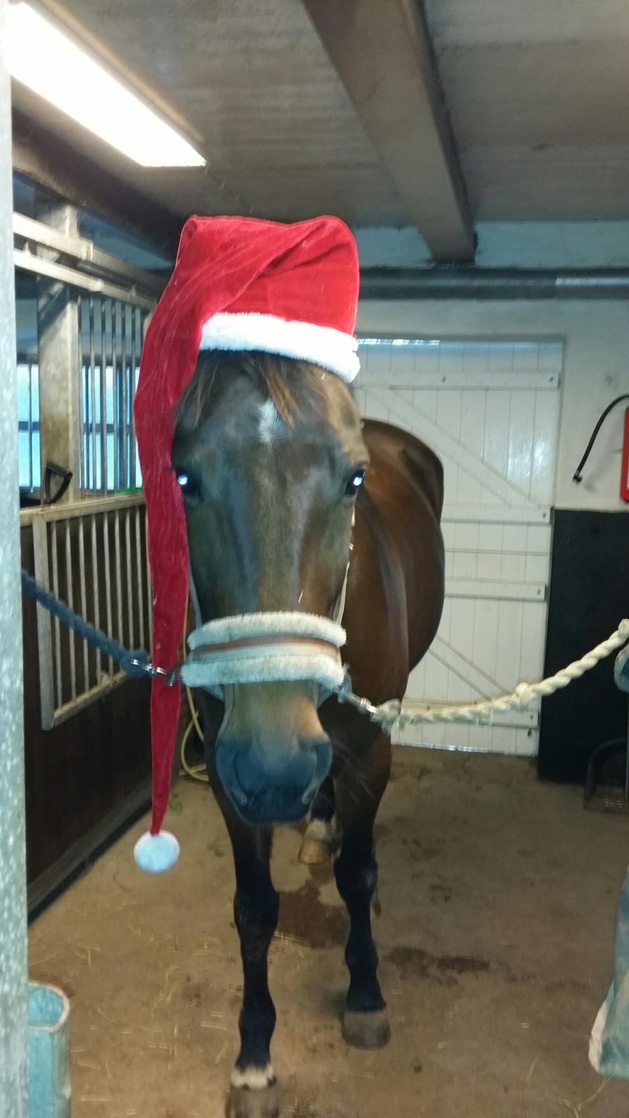 Traver Ofelia tandal billede 16