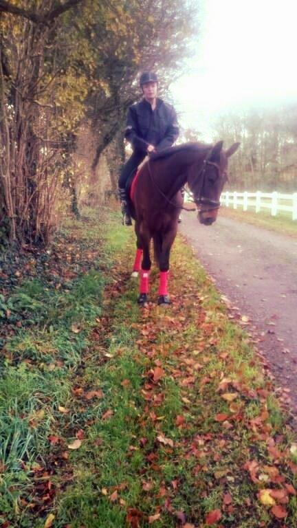 Traver Ofelia tandal billede 18