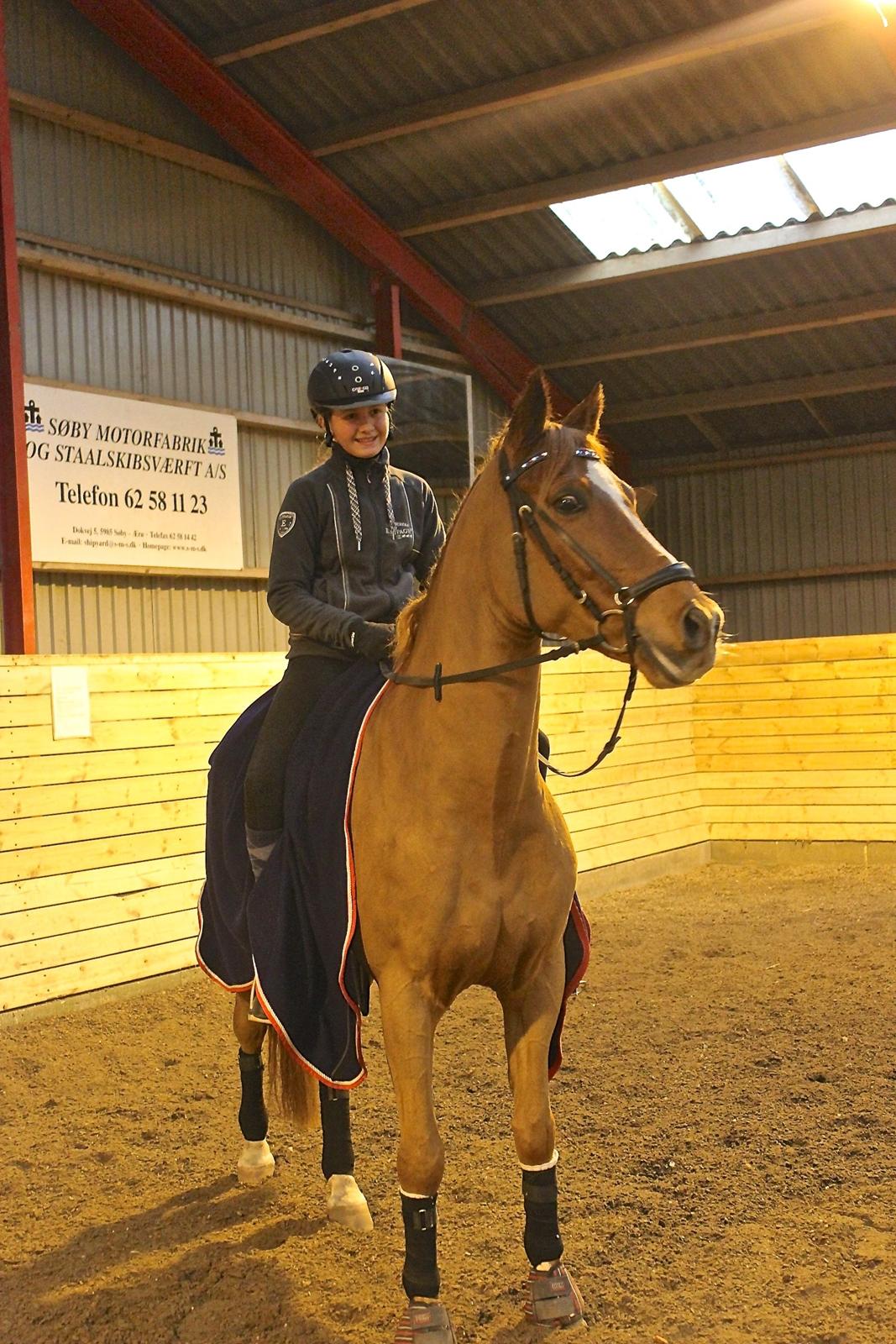 Anden særlig race Kelabo van Orchid's billede 12