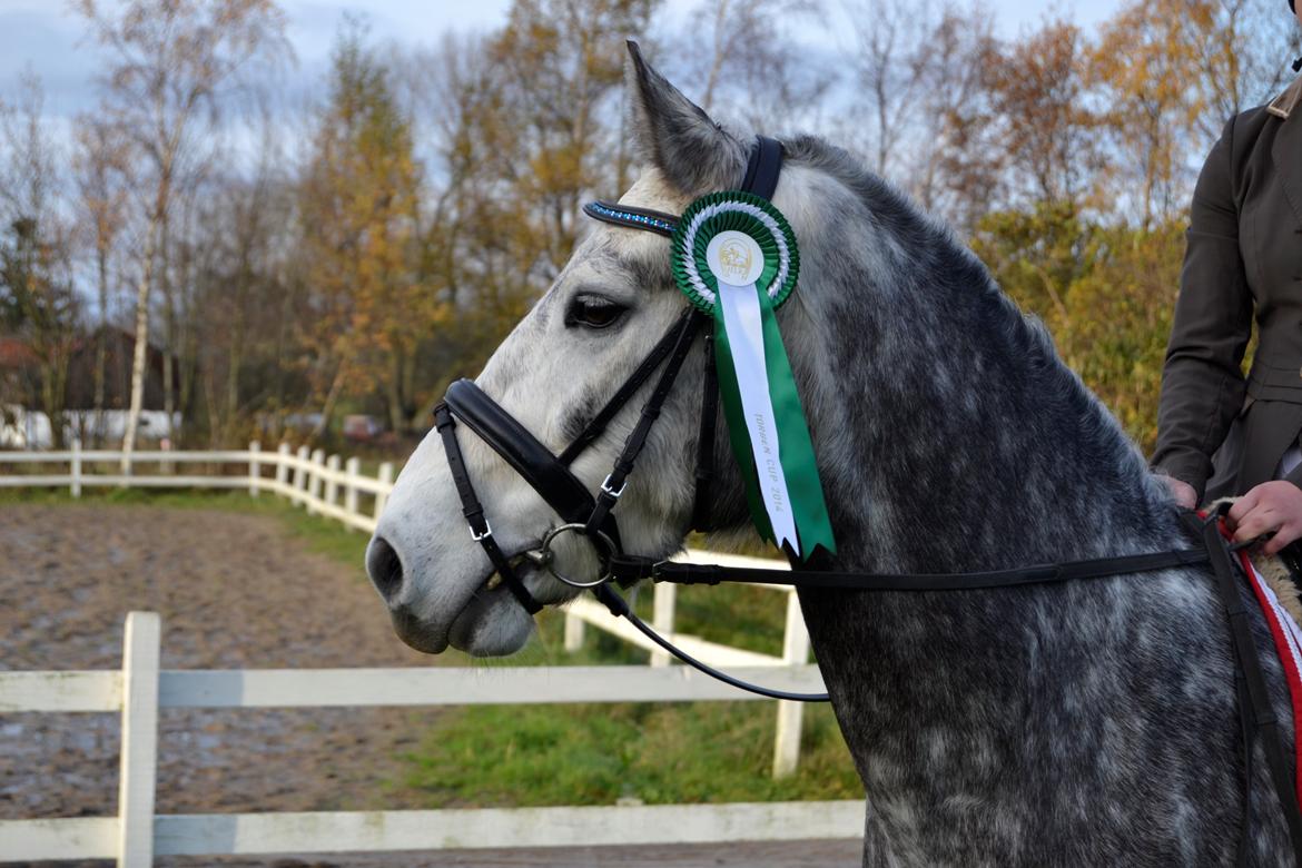 Connemara Klintly's macong billede 3