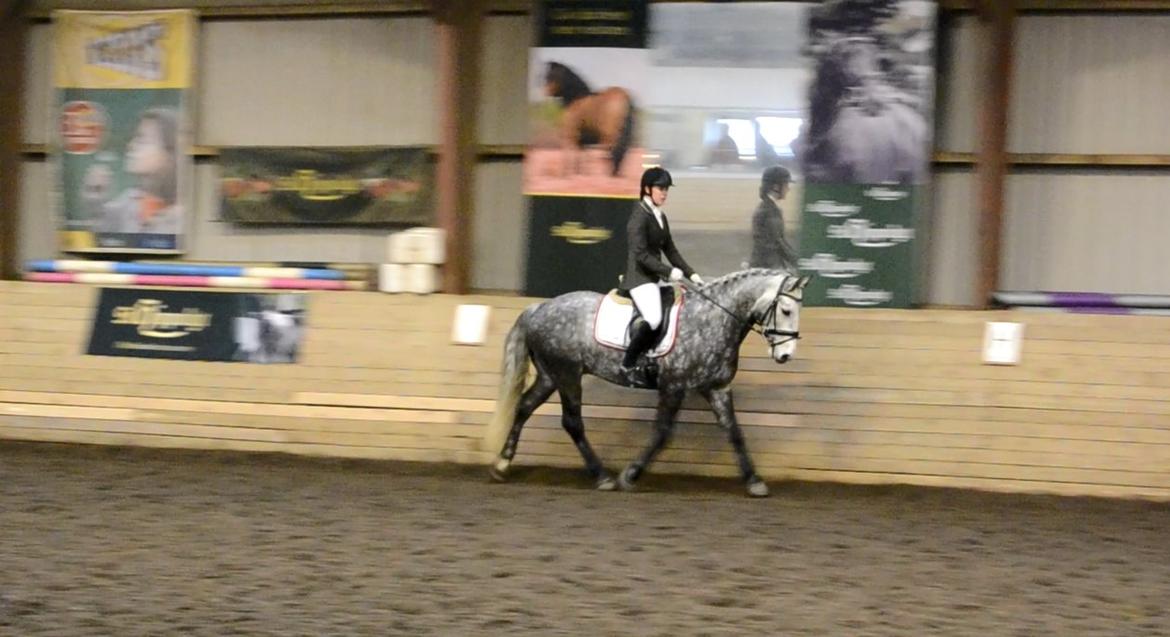 Connemara Klintly's macong billede 8