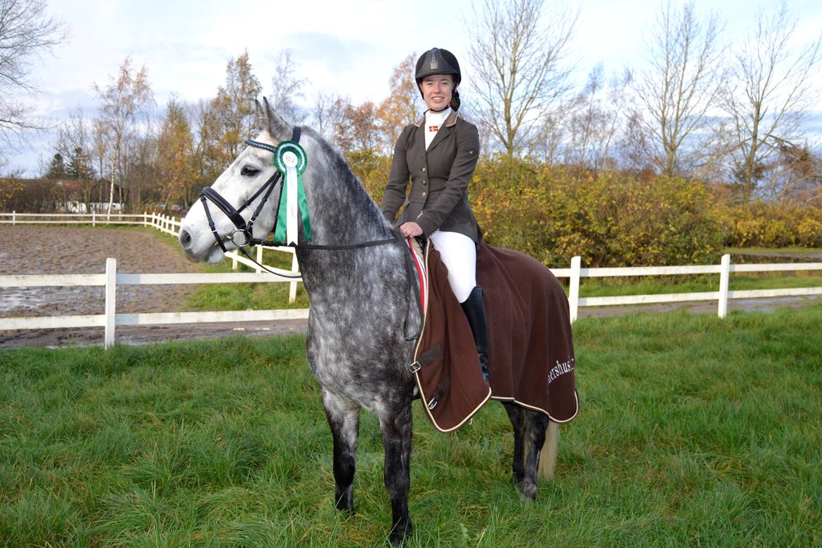 Connemara Klintly's macong billede 11