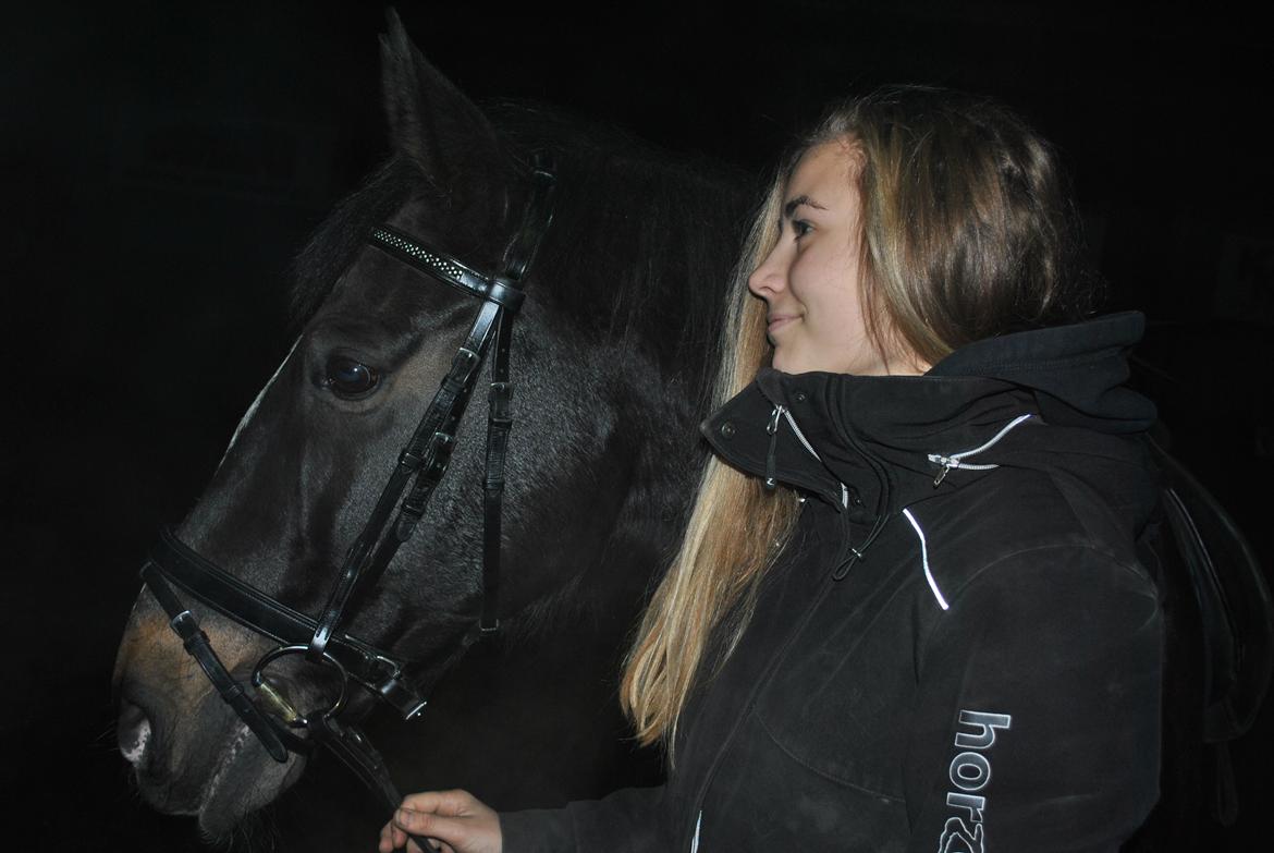 Anden særlig race Aavang's Lucas - Elsker.  billede 1