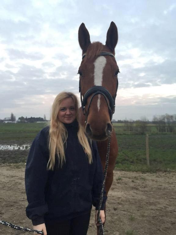 Dansk Varmblod Ørnemosegårds Ecco - Ecco og jeg - november 2014 billede 6