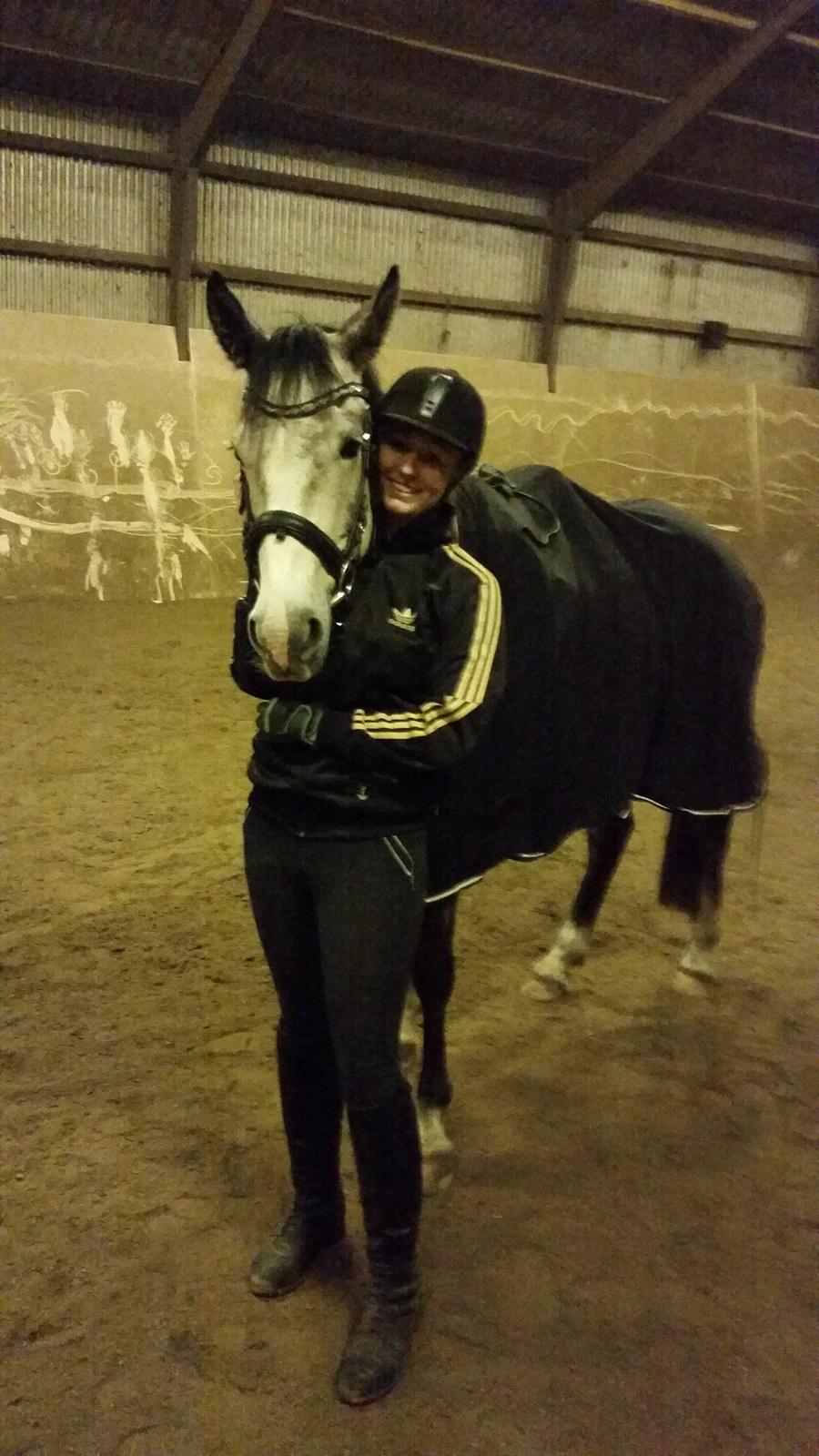 Anden særlig race Pegasus billede 20