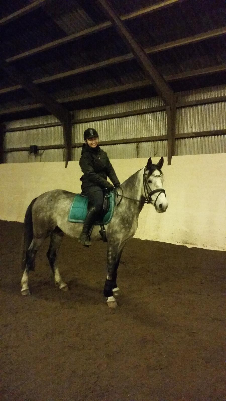 Anden særlig race Pegasus billede 25