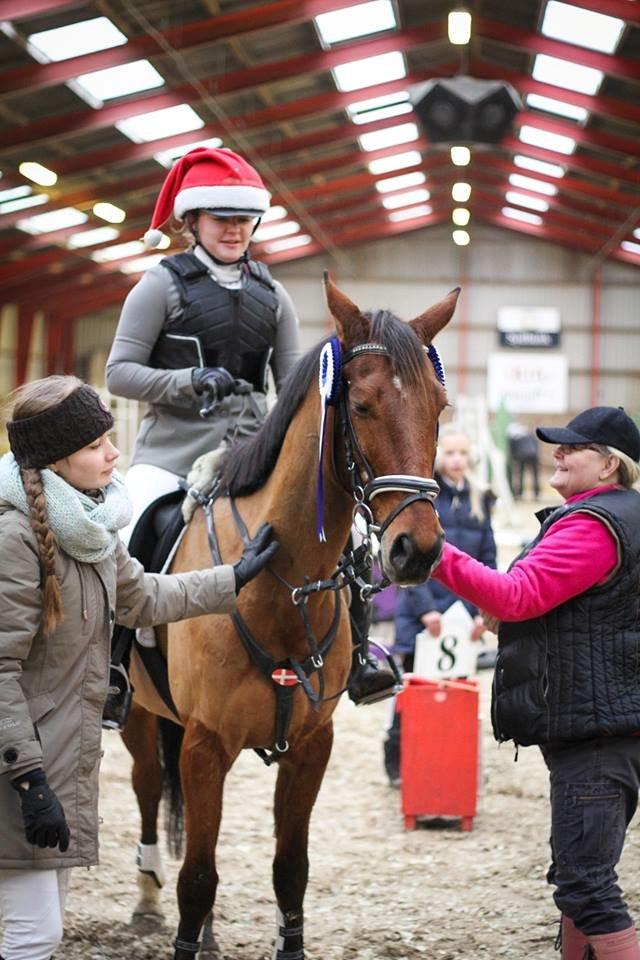 Anden særlig race Thor:) - Anden plads til klubmesterskab 2014. billede 29