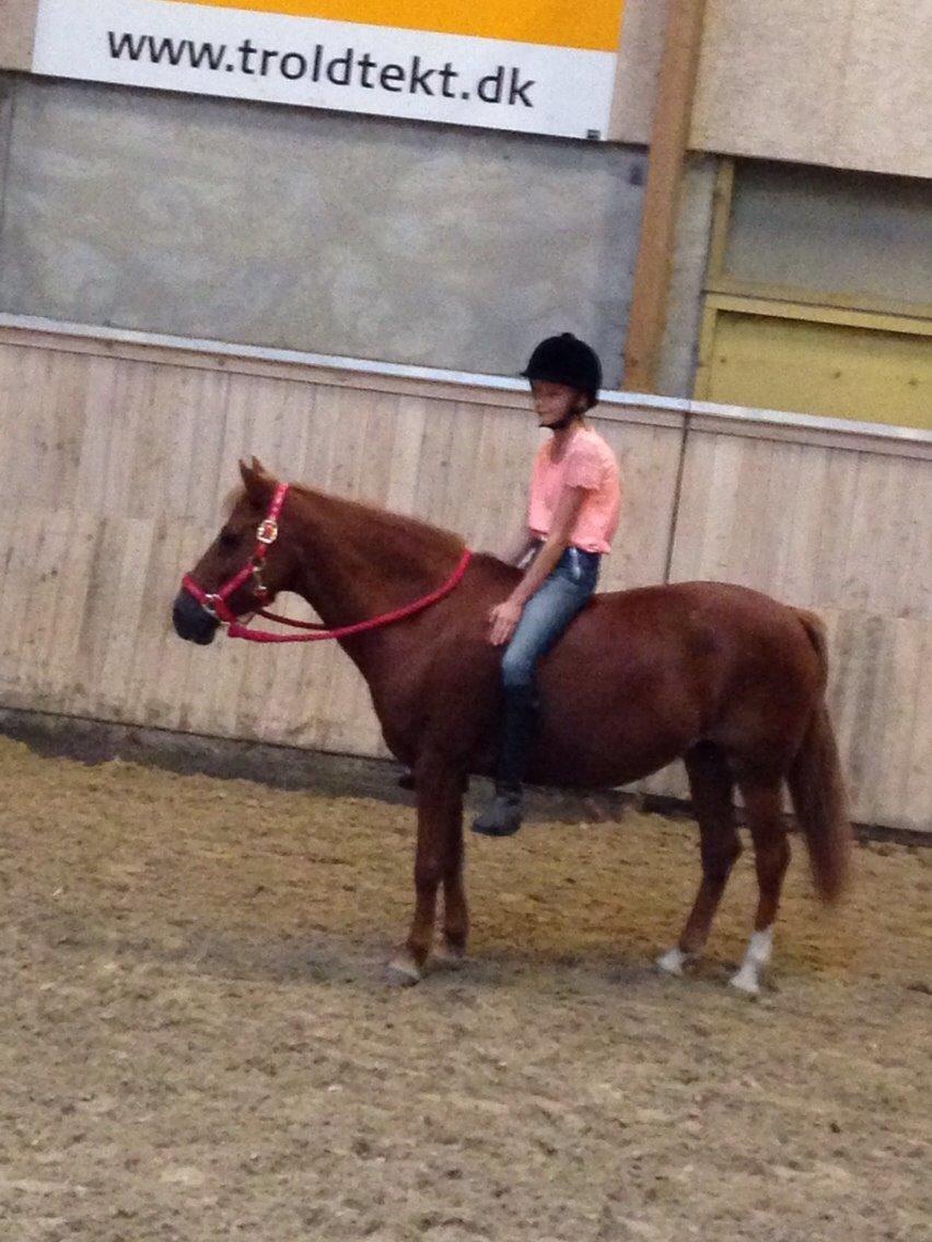 Anden særlig race Melody - Sammen kan vi alt! billede 3