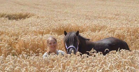 Shetlænder Sally <3 //My Soulmate// billede 18