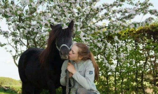 Shetlænder Sally <3 //My Soulmate// billede 24