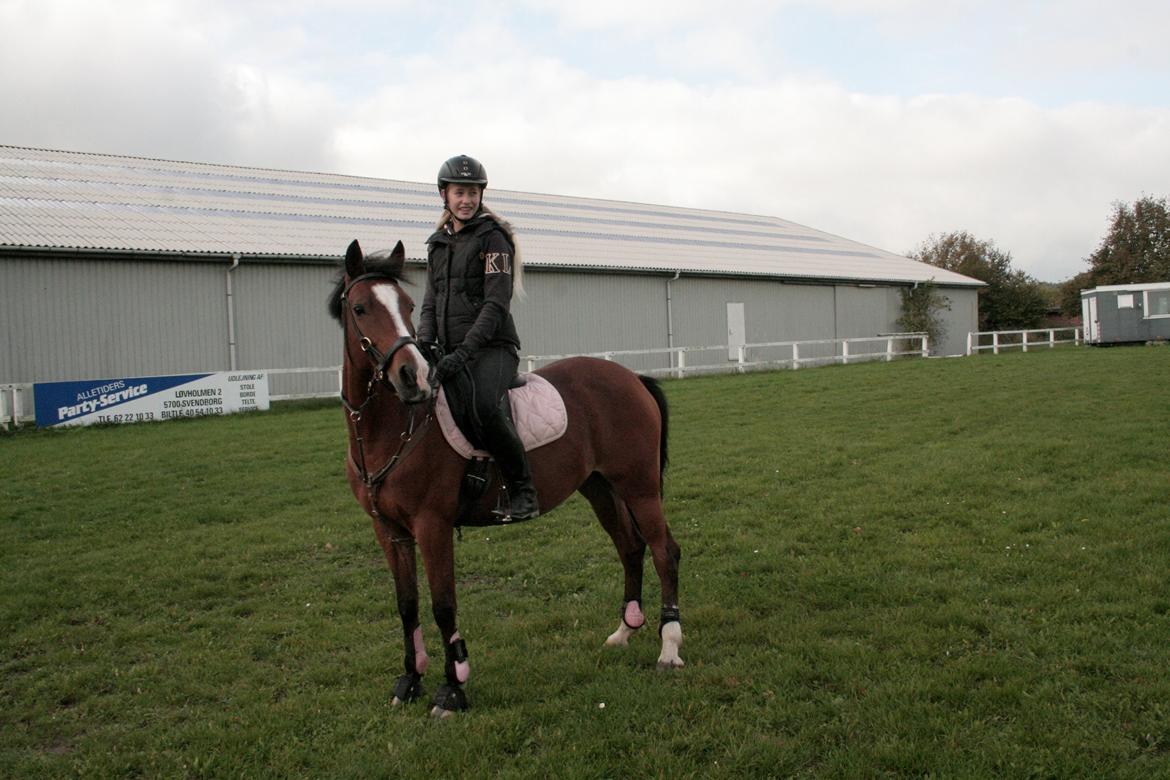 Hollandsk Sportspony Bijsterhof's Dream Lady billede 14