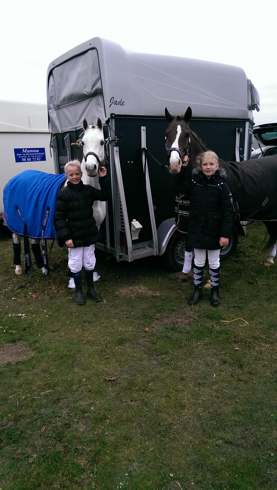 New Forest Koedijks Milano - Mig og min ride veninde til stævne. billede 4